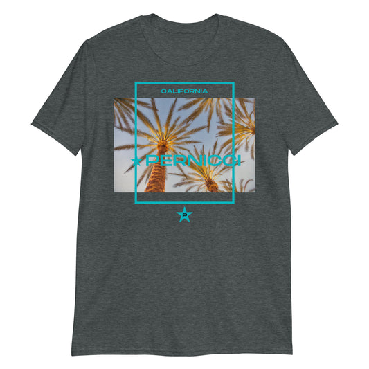 T-Shirt CA Frame5