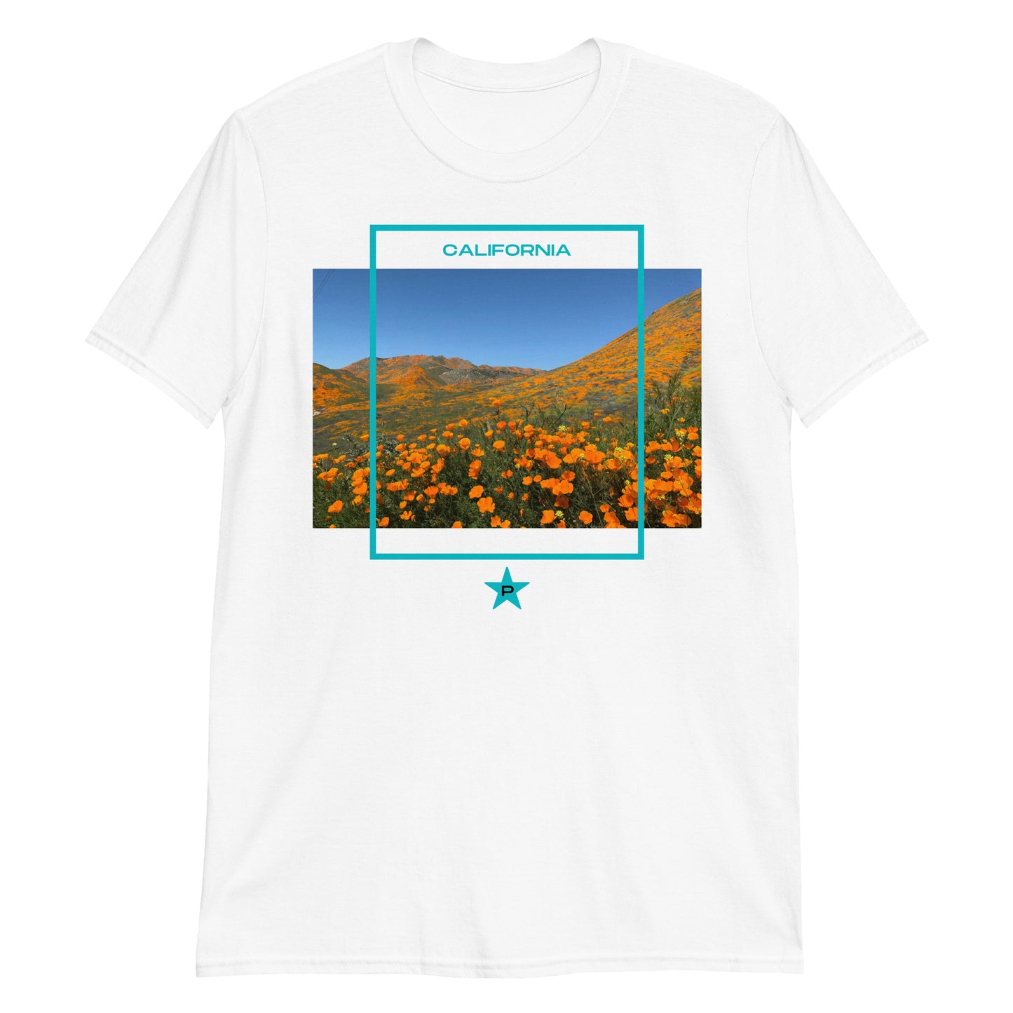 T-Shirt CA Frame15